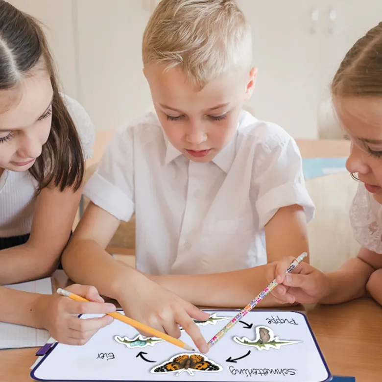 Klassenset Lebenszyklus "Schmetterlinge, Bienen & Marienkäfer", magnetisch, 100-tlg.