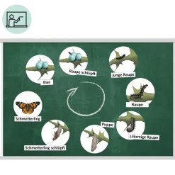 Klassenset Lebenszyklus