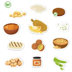 Klassenset "Vegetarische und vegane Ernährung", 519-tlg. in Box