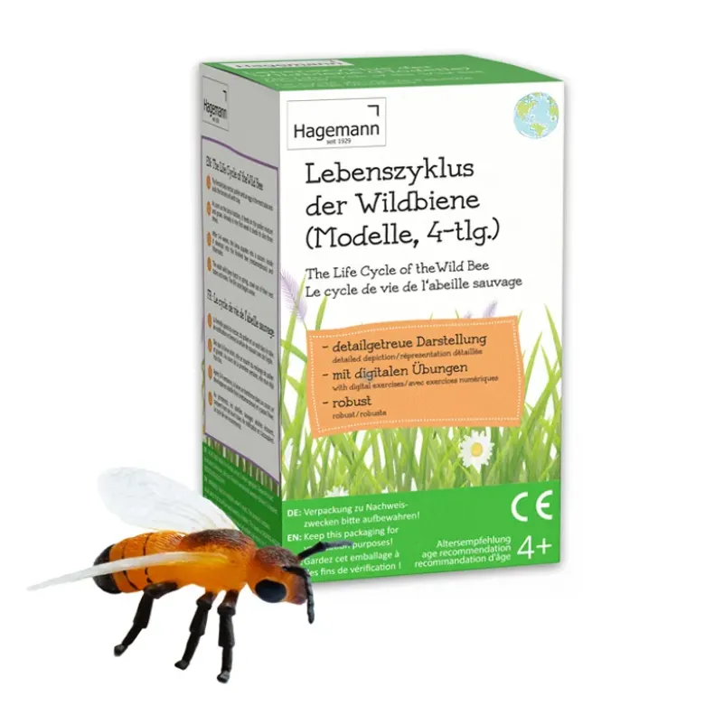 Lebenszyklus-Modell "Wildbiene", 4-tlg.