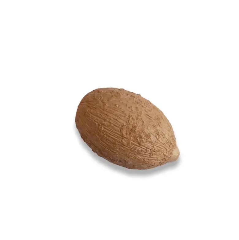 Lebenszyklus-Modell "Wildbiene", 4-tlg.