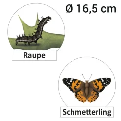 Lebenszyklus 