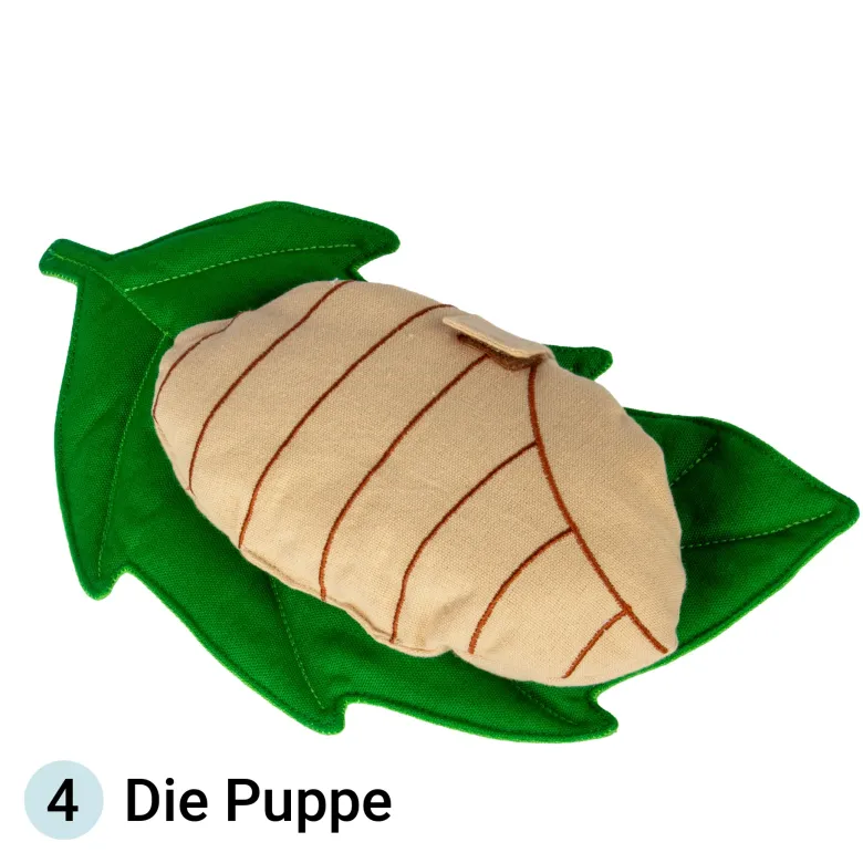 Lebenszyklus-Stoffmodell "Schmetterling", 3-tlg.