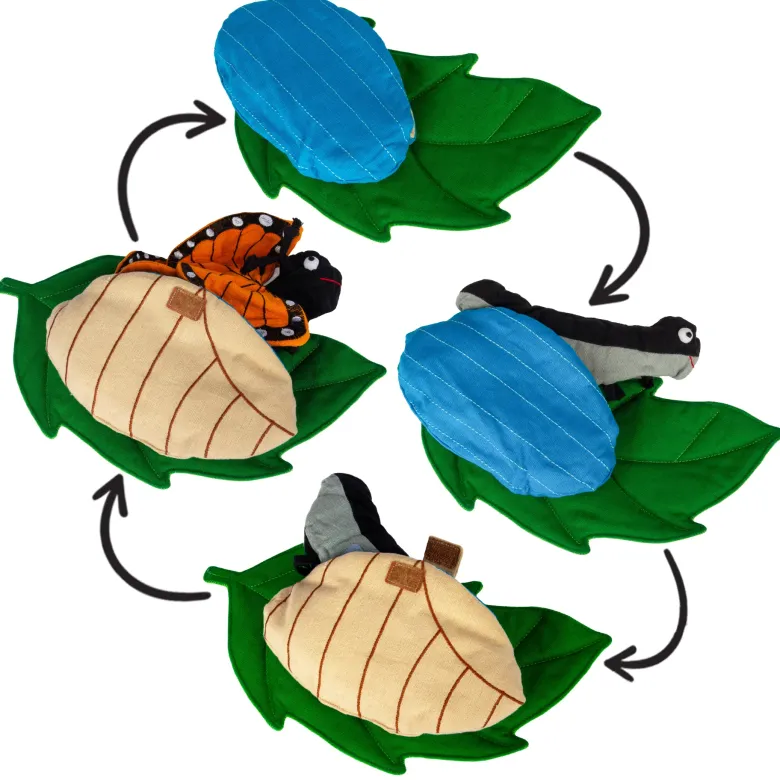 Lebenszyklus-Stoffmodell "Schmetterling", 3-tlg.