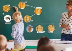 Lebenszyklus und Kommunikation 