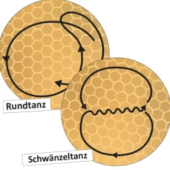 Lebenszyklus und Kommunikation 
