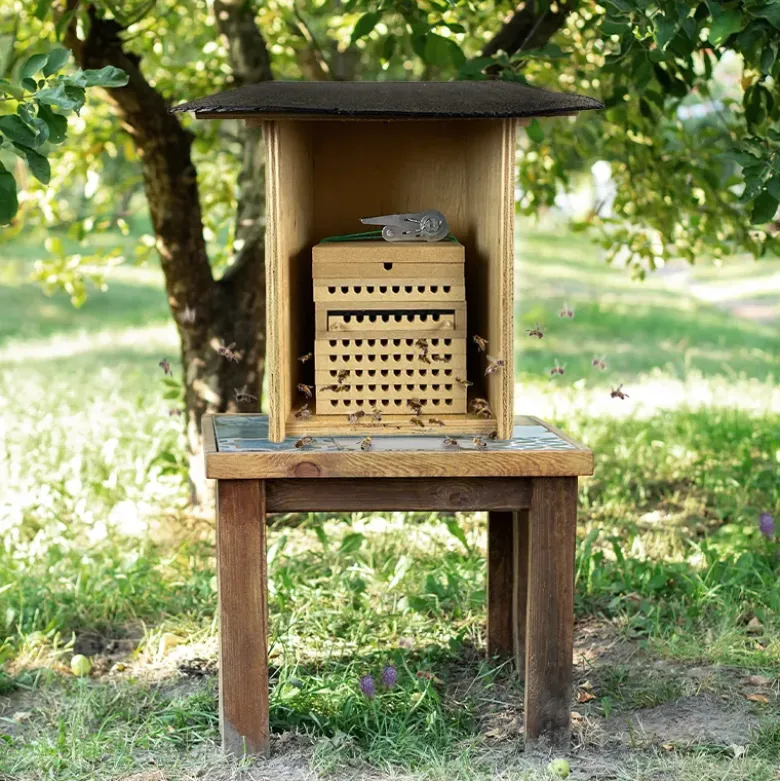 Lockstoff für Bienen und Hummeln, 500 ml