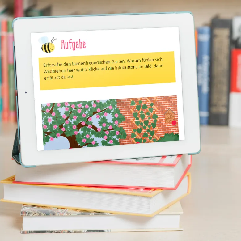 Medienheft "Wild- und Honigbienen", 44 Seiten