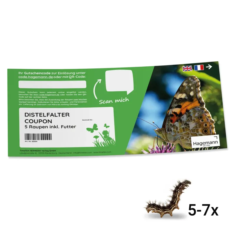 Nachbestell-Gutschein Schmetterlings-Raupen, 5 Stück