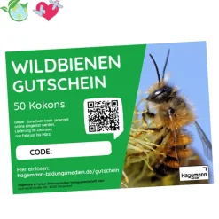 Nachbestell-Gutschein Wildbienen, Rote Mauerbiene, für 50 Kokons