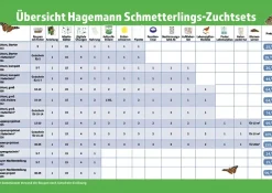 Nachbestellung Schmetterlings-Raupen, 5 Stück