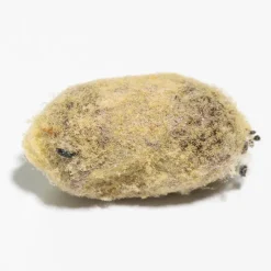 Nachbestellung Wildbienen, Rote Mauerbiene, 25 Kokons