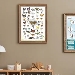 Naturposter A2 "Schmetterlinge"