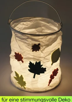 Papier-Lampions zylindrisch, 6 Stück