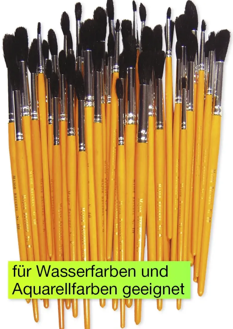 Pinsel für Wassermalfarbe, 50-tlg.