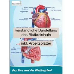 Poster A2 "Das Herz von innen und außen"