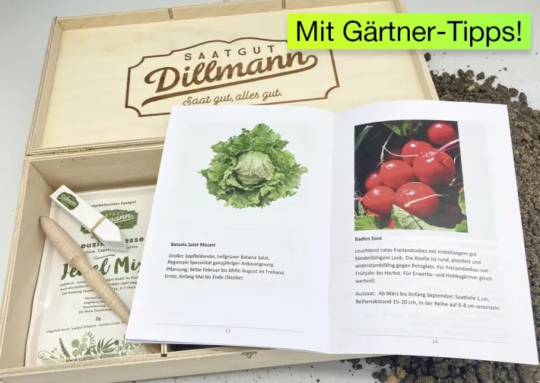 Saatgut-Box "Gartenbox für Kinder", Set 2, 65-tlg.
