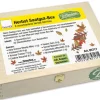 Saatgut-Box "Herbst", 8 Gemüse-Sorten