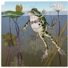 Schichten-Puzzle "Frosch" + gratis APP, 86-tlg.