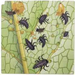 Schichten-Puzzle 