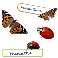 Set Aufkleber-Set 
