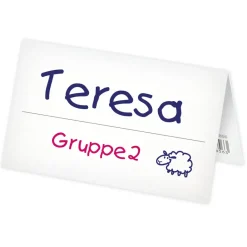 Set Aufstell-Namenskärtchen aus Pappe, 100-tlg.