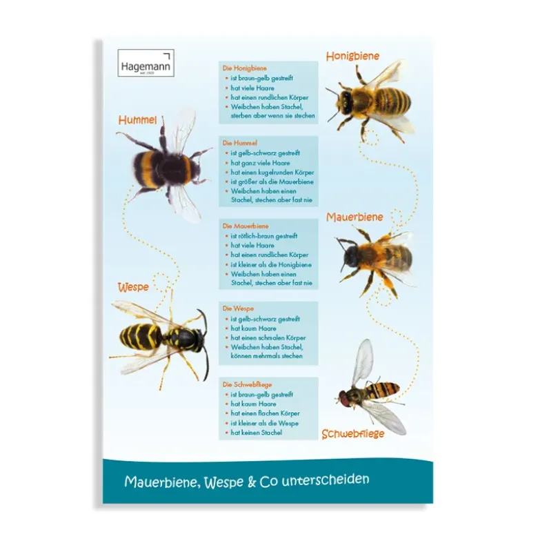 Set Bienen-Poster A2, 3-tlg.