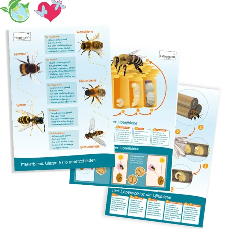 Set Bienen-Poster A2, 3-tlg.