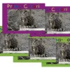 Set Eulenhefte 1-5
