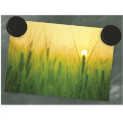 Set Haft-Magnete schwarz, 24 mm ø, 50-tlg.
