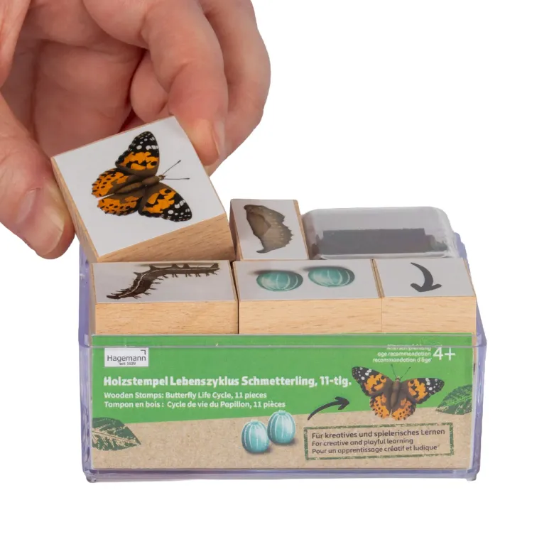 Set Holzstempel "Lebenszyklus Schmetterling", 11-tlg. mit Stempelkissen