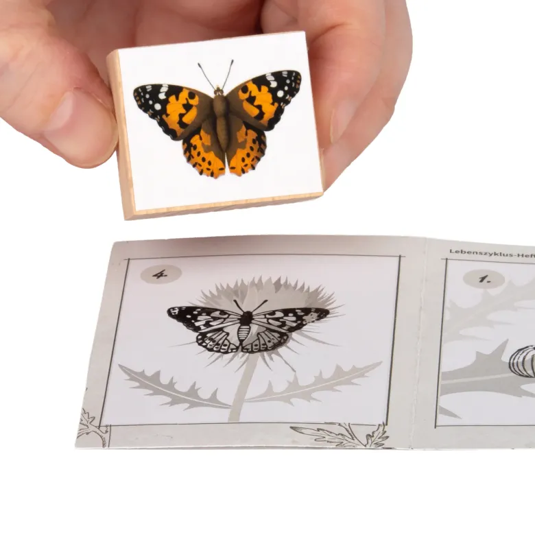 Set Holzstempel "Lebenszyklus Schmetterling", 11-tlg. mit Stempelkissen