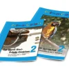 Set 2. Klasse (Grundwortschatz 2 + Ich spreche 2) Vereinfachte Ausgangsschrift