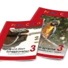 Set 3. Klasse (Grundwortschatz 3 + Ich spreche 3) Vereinfachte Ausgangsschrift