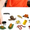 Set Lebenszyklus-Modell "Insekten & Co.", 20-tlg.