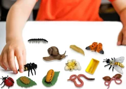 Set Lebenszyklus-Modell "Insekten & Co.", 20-tlg.