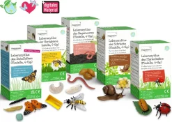 Set Lebenszyklus-Modell "Insekten & Co.", 20-tlg.