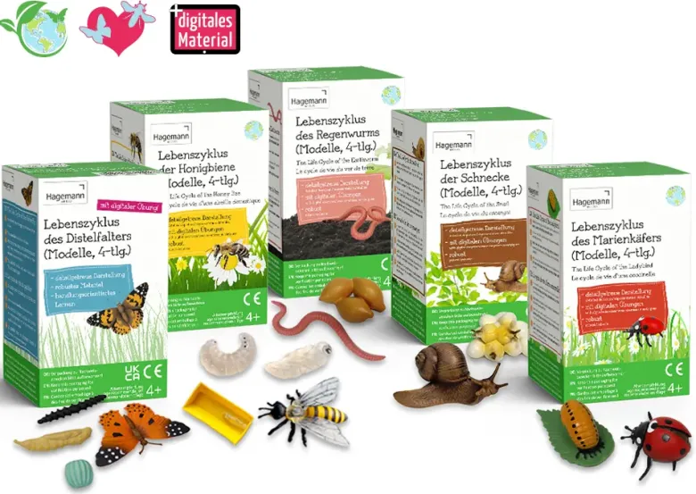 Set Lebenszyklus-Modell "Insekten & Co.", 20-tlg.