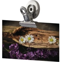 Set Magnet-Clips 31 mm, 3-tlg.