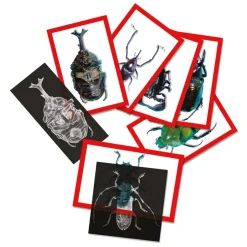 Set Röntgenbilder + Bildkarten "Insekten", 72-tlg.