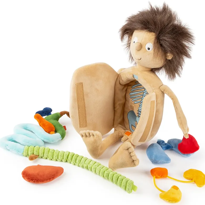 sigikid Lernpuppe "Erwins Körper", 44 cm