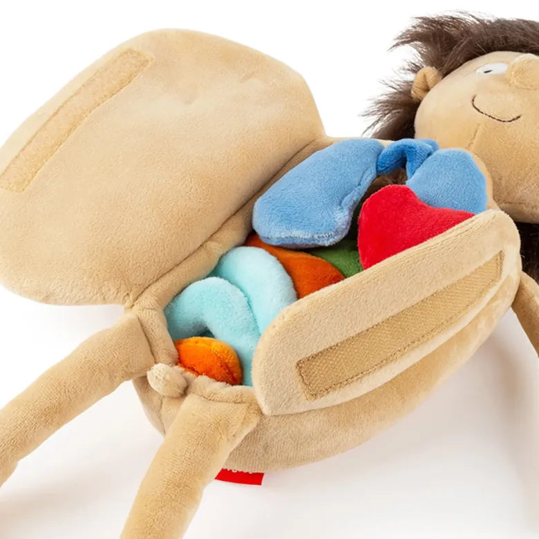 sigikid Lernpuppe "Erwins Körper", 44 cm