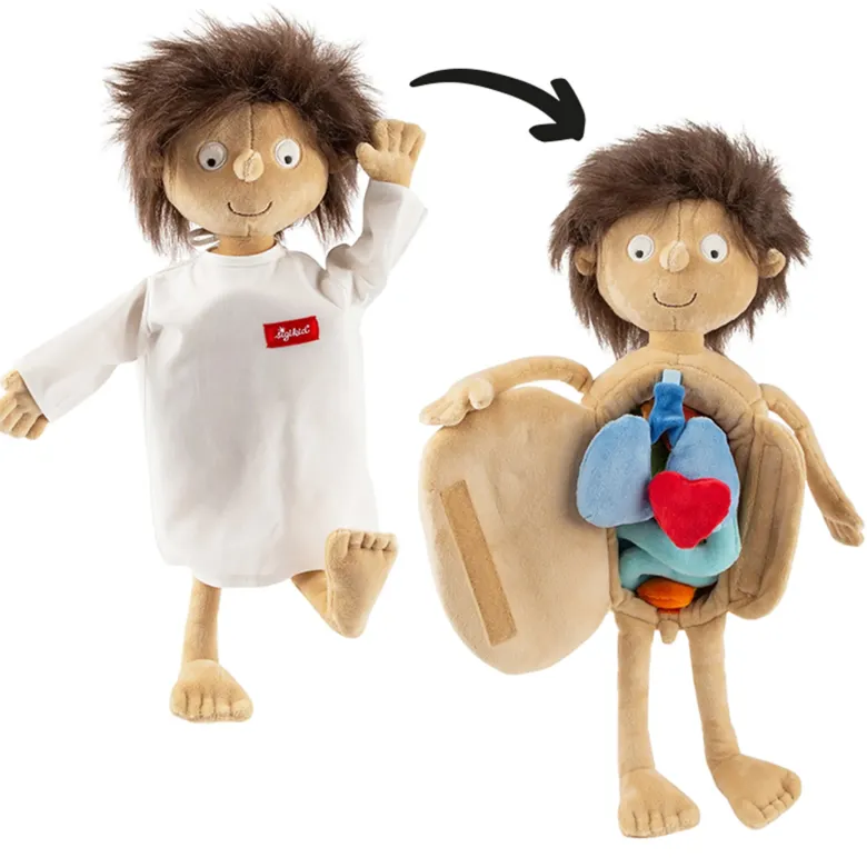 sigikid Lernpuppe "Erwins Körper", 44 cm