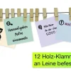 TimeTEX Aufhänge-Leine mit Saugnäpfen, 12 Holz-Klammern