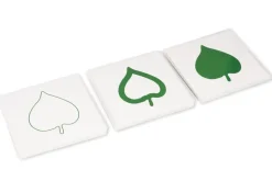 TimeTEX Botanischer Kartensatz "Montessori Premium"