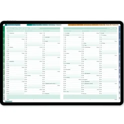 TimeTEX Digitaler Design-Schulplaner DigiPlan 2026/2027, mint