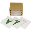 TimeTEX Kasten mit 3 Fächern für die Botanischen Karten "Montessori Premium"