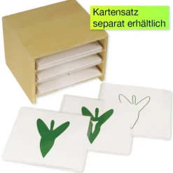 TimeTEX Kasten mit 3 Fächern für die Botanischen Karten 