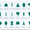 TimeTEX Kontrolltafel für die Botanische Kommode "Montessori Premium"