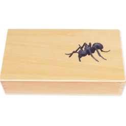 TimeTEX Lebenszyklus einer Ameise, in Holzbox